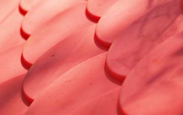 Brightons plastic roof costs