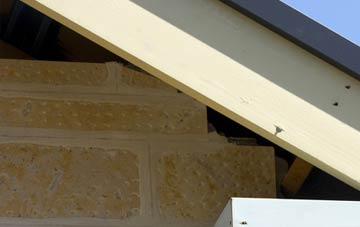 soffit repair Brightons