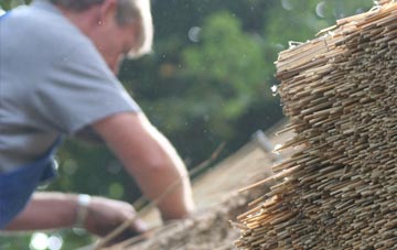 professional Brightons thatchers